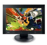 Eizo Color Graphic LCD (CG221-K)